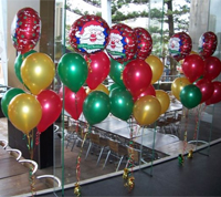 Balloon Modeller Charleville